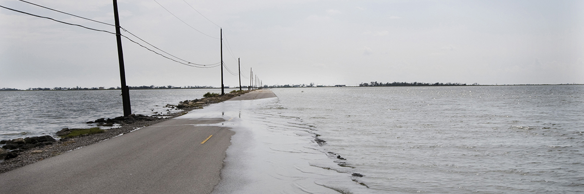 "Flooding on Island Road, View toward Isle de Jean Charles from Pointe-aux-Chenes, Louisiana" by Kael Alford